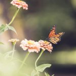 国内自拍偷 vizbkjcyt